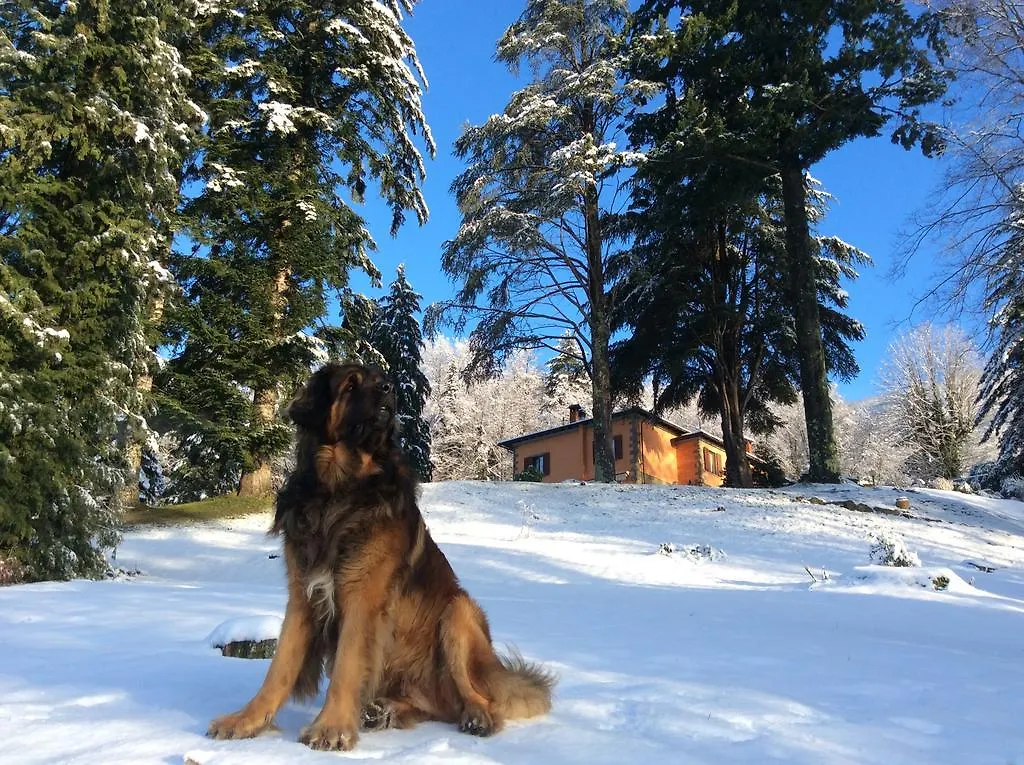 La Casina Dei Leonberger location